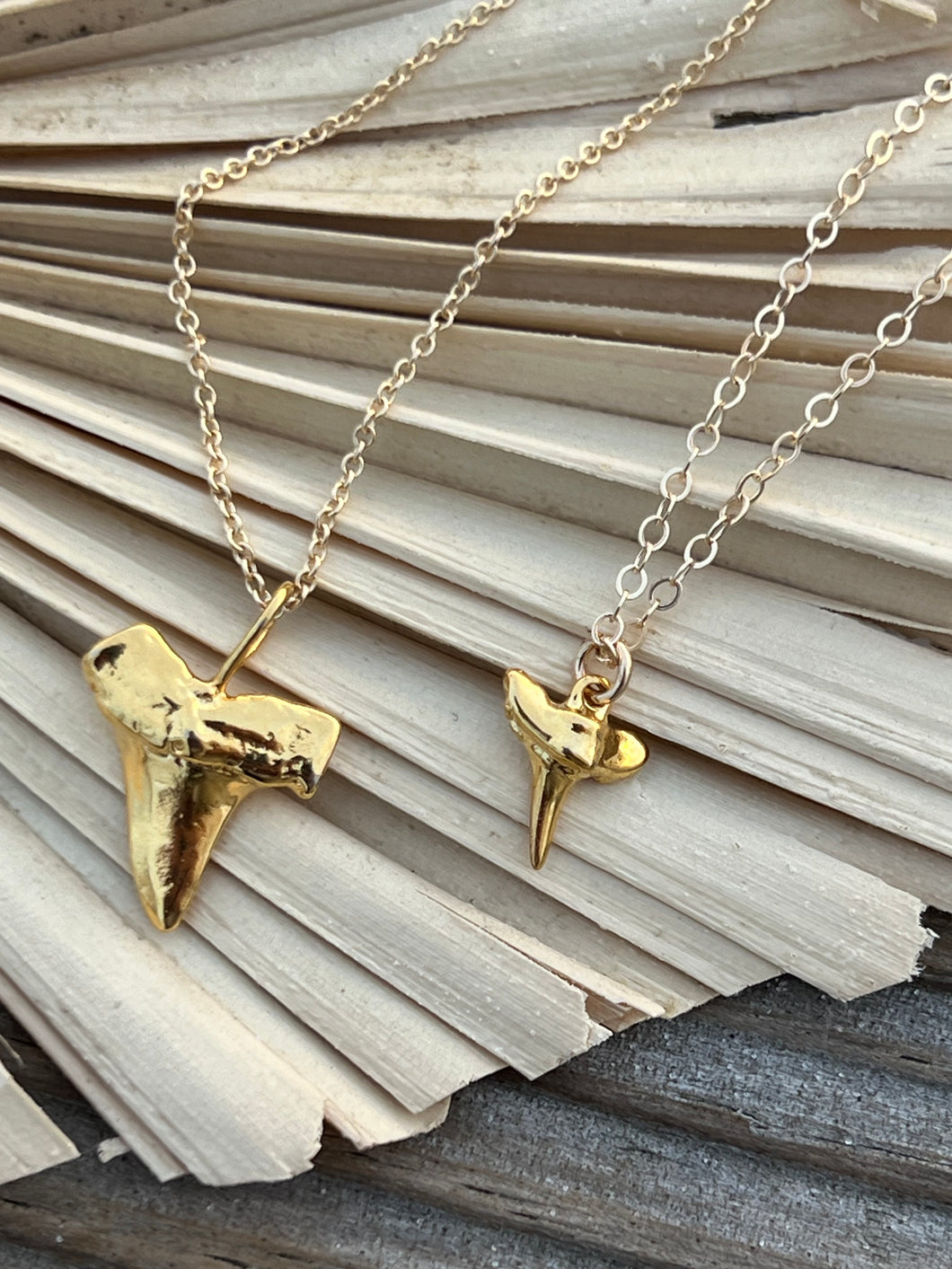 Shark Tooth necklace, large, gold filled