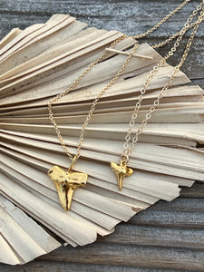 Shark Tooth necklace, large, gold filled