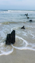 Load and play video in Gallery viewer, Shark Tooth, gold filled
