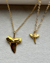 Load image into Gallery viewer, Shark Tooth necklace, large, gold filled
