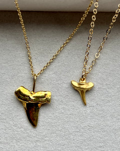 Shark Tooth necklace, large, gold filled